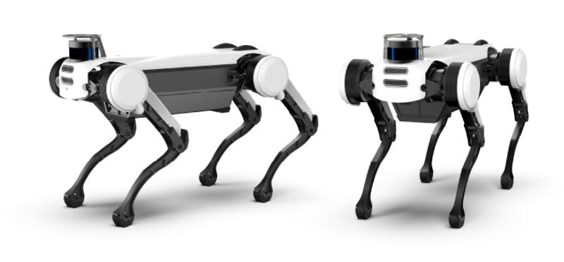 robotic dogs