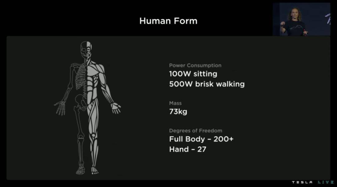 robot humanoide
