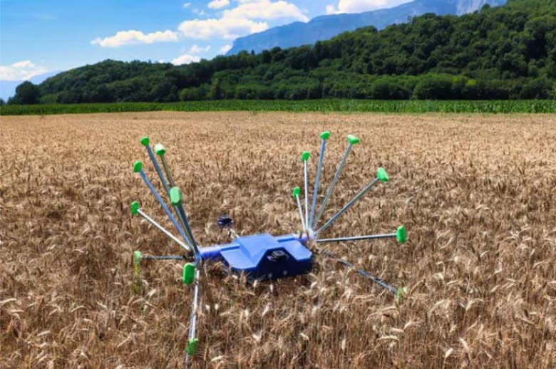 robot agrícola