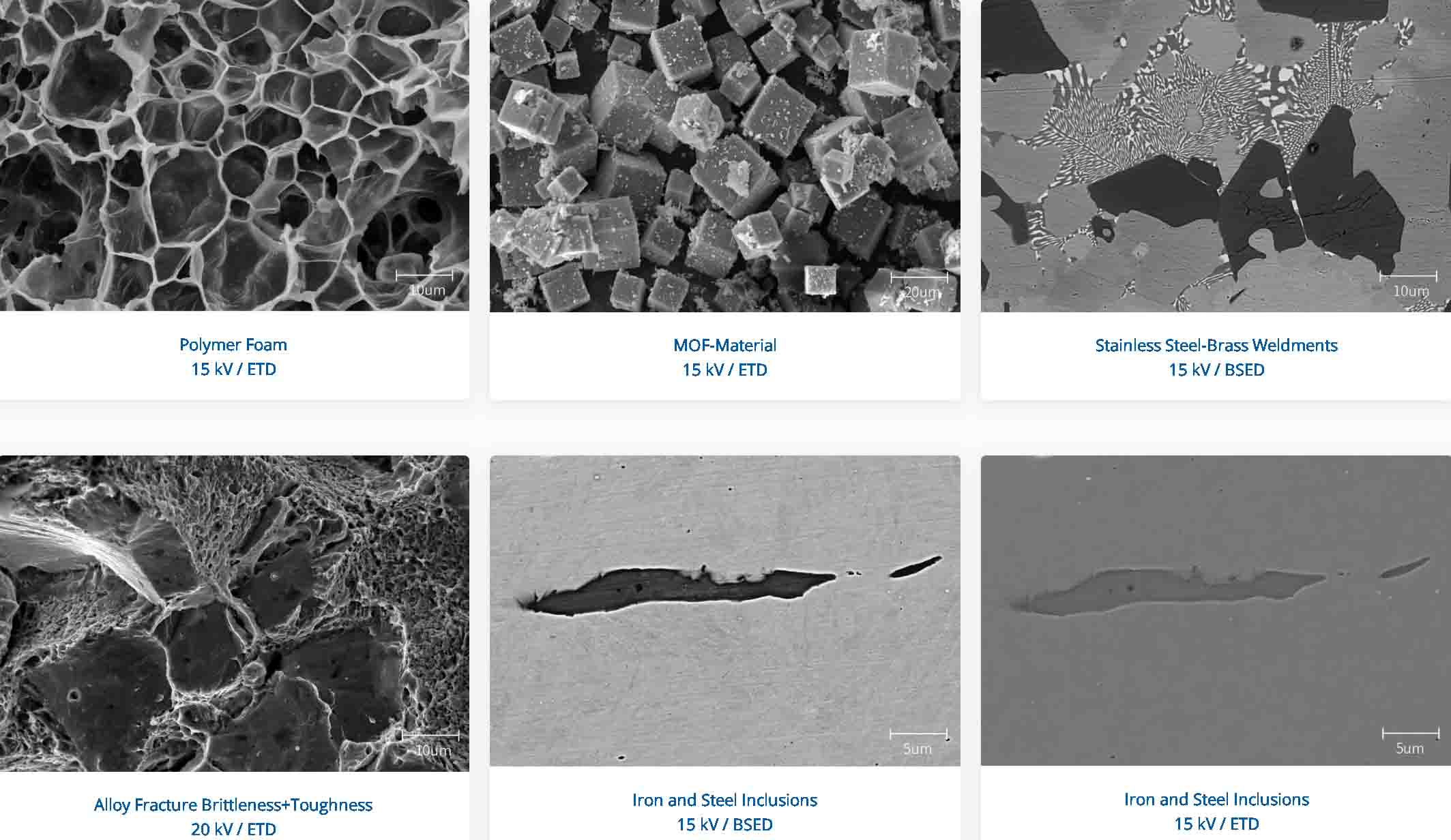 sem microscope price