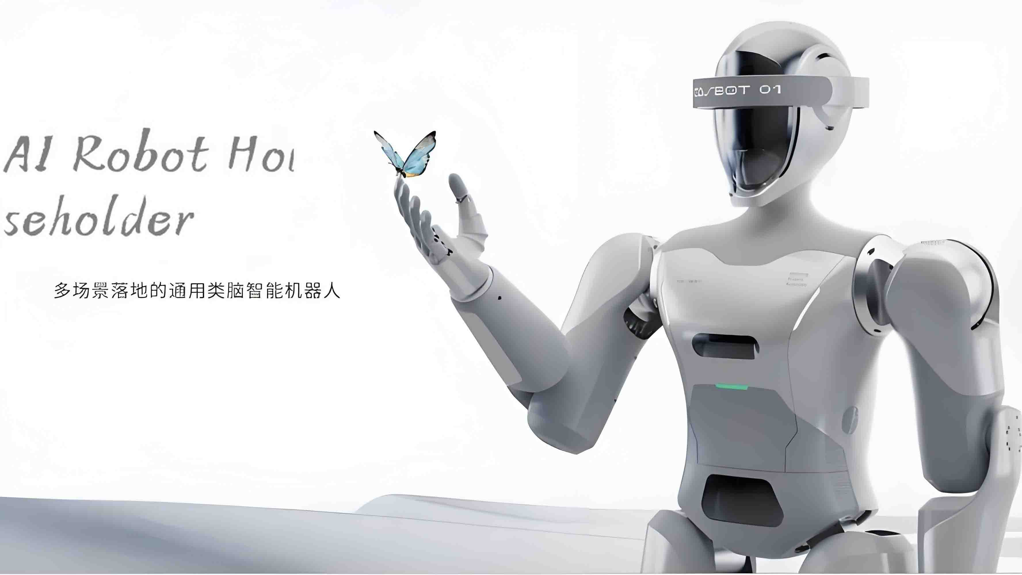 humanoid Robot