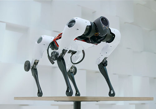 Tencent anunció el nuevo progreso de su perro robot Max, que puede hacer parkour, saltar obstáculos e 