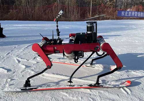 Se presenta el robot de esquí de seis patas, ¡esquía con el robot!