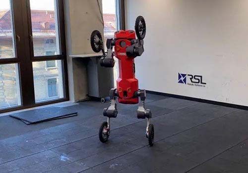 El robot de patas cuadrúpedos desarrollado por Swiss-Mile puede pararse, rodar y entregar de forma autónoma