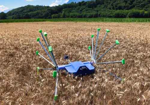 SentiV robot can travel across fields, rolling itself to inspect crops