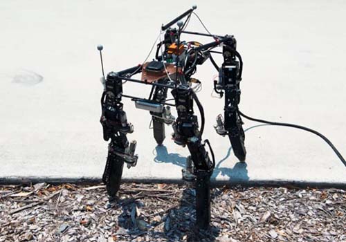 La evolución de los robots cuadrúpedos es solo para adaptarse al terreno complejo.